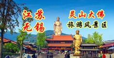 女性大逼逼网址江苏无锡灵山大佛旅游风景区