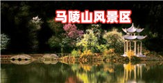 狂插入美女视频在线观看